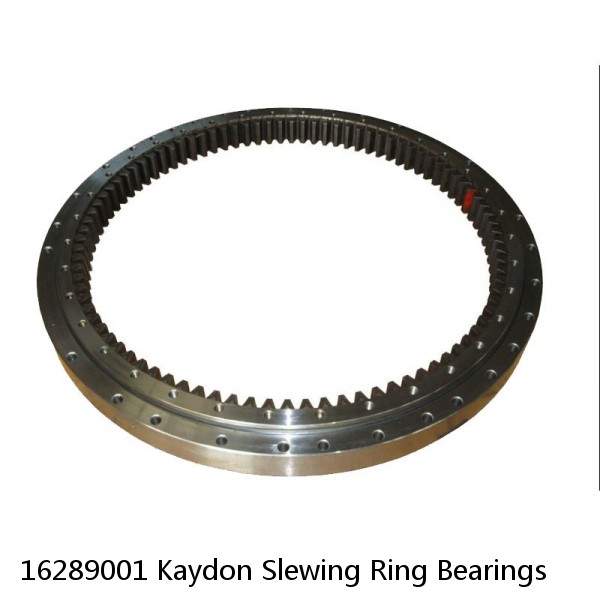 16289001 Kaydon Slewing Ring Bearings