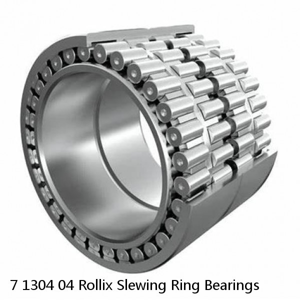 7 1304 04 Rollix Slewing Ring Bearings