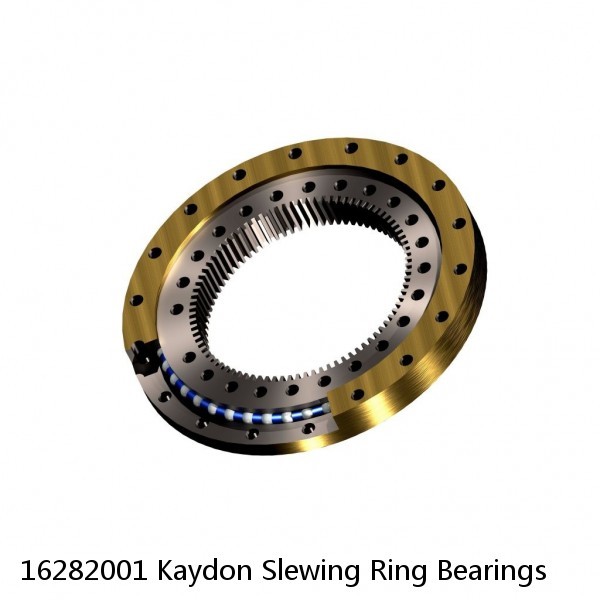 16282001 Kaydon Slewing Ring Bearings #1 small image