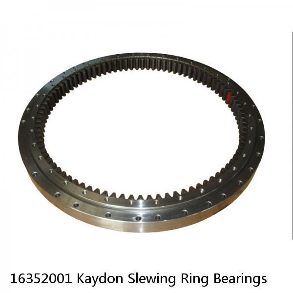 16352001 Kaydon Slewing Ring Bearings #1 small image