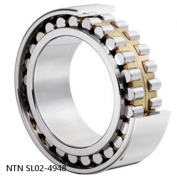 SL02-4948 NTN Cylindrical Roller Bearing #1 small image