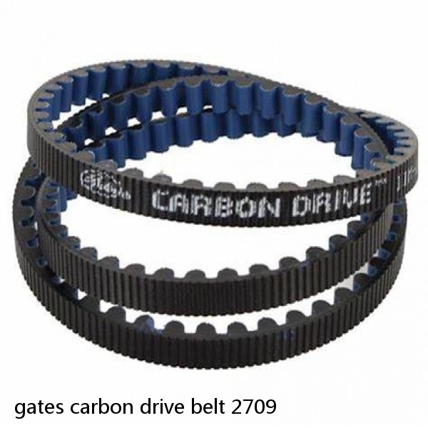 gates carbon drive belt 2709 #1 small image