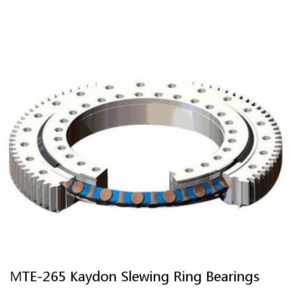MTE-265 Kaydon Slewing Ring Bearings #1 image