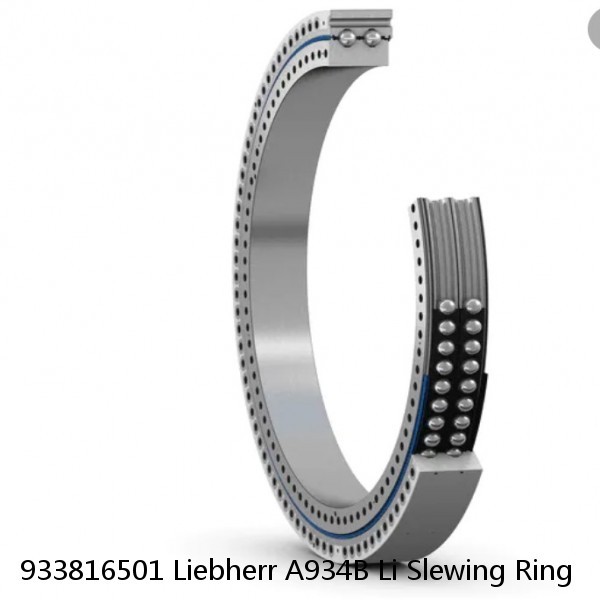 933816501 Liebherr A934B Li Slewing Ring #1 image