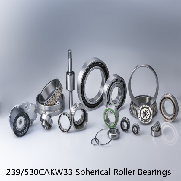 239/530CAKW33 Spherical Roller Bearings #1 image