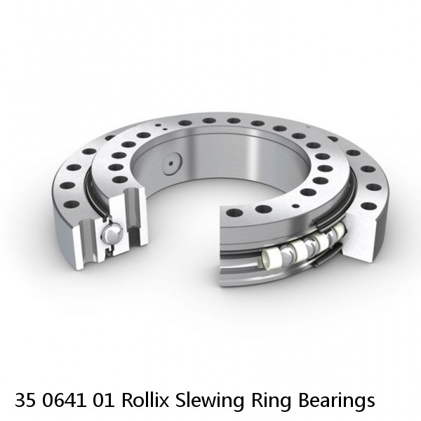 35 0641 01 Rollix Slewing Ring Bearings #1 image