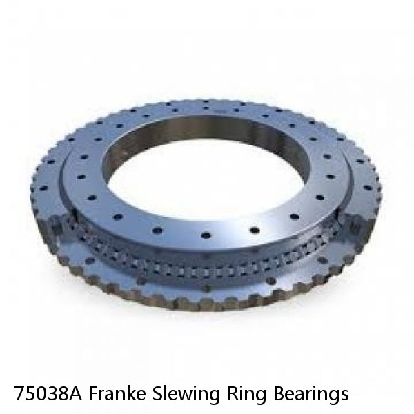 75038A Franke Slewing Ring Bearings #1 image