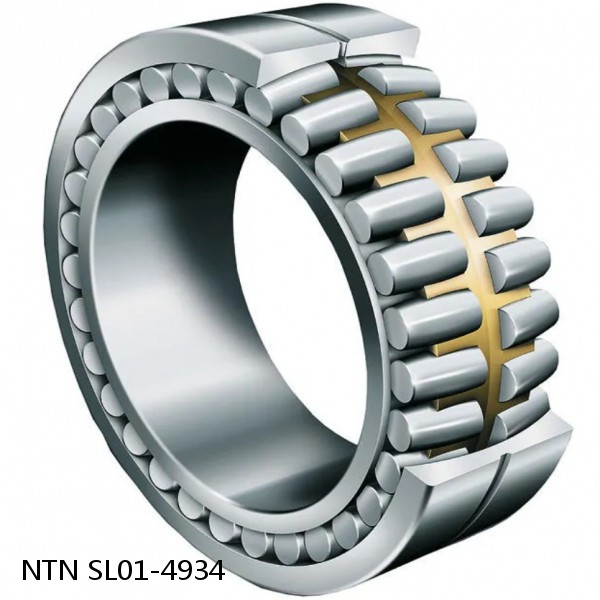 SL01-4934 NTN Cylindrical Roller Bearing #1 image