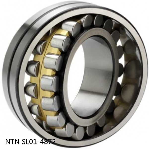 SL01-4872 NTN Cylindrical Roller Bearing #1 image