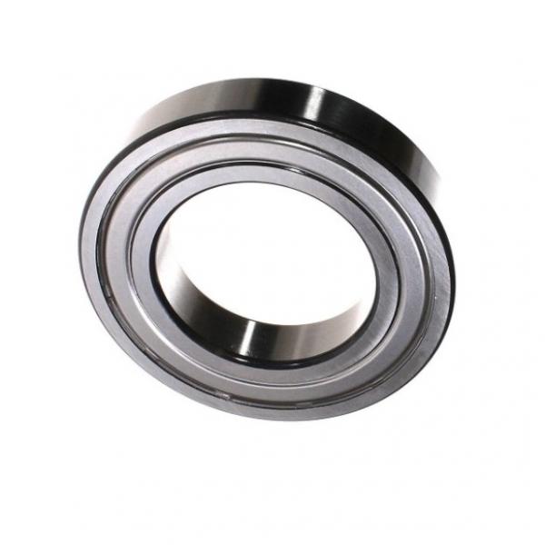 Stainless Steel Needle Roller Bearing HK0408 HK0509 HK0608 HK0810 HK1210 #1 image